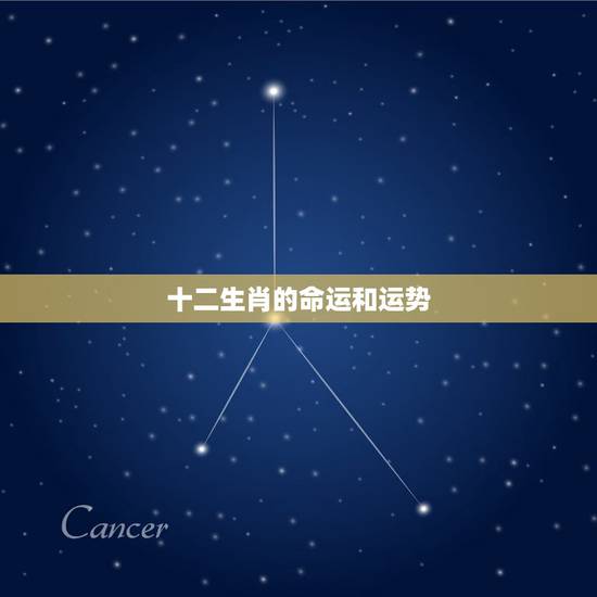 十二生肖的命运和运势，难道生肖不和就会影响运气吗