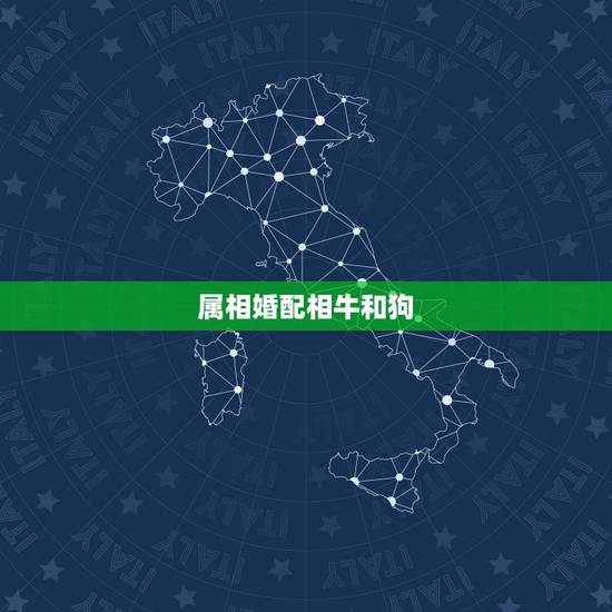 属相婚配相牛和狗，属牛的属相婚配狗命运会怎么样