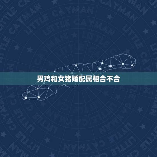 男鸡和女猪婚配属相合不合，男属鸡和女属猪可以婚配吗