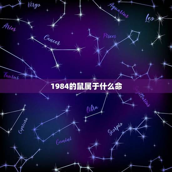 1984的鼠属于什么命，1984女鼠一生几次婚姻