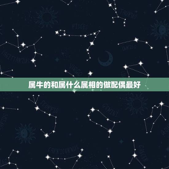 属牛的和属什么属相的做配偶最好，属牛的和什么属相配最好呢！