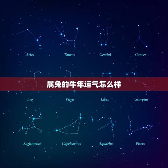 属兔的牛年运气怎么样,属兔宜带什么 属兔的牛年运气怎么样,属兔宜带什么