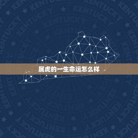 属虎的一生命运怎么样，1986年属虎人(男)，我是早上四点多出生，想知