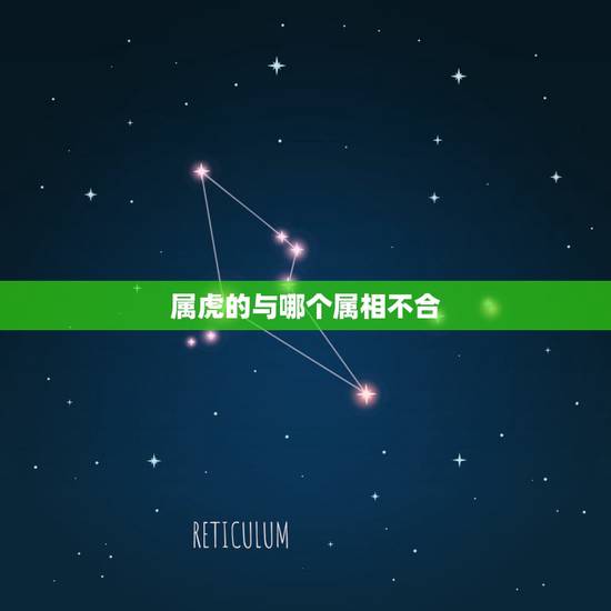 属虎的与哪个属相不合，属虎和什么属相不配