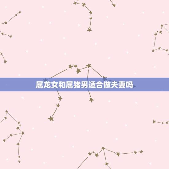 属龙女和属猪男适合做夫妻吗,猪和龙相配婚姻如何 属龙女和属猪男适合做夫妻吗,猪和龙相配婚姻如何