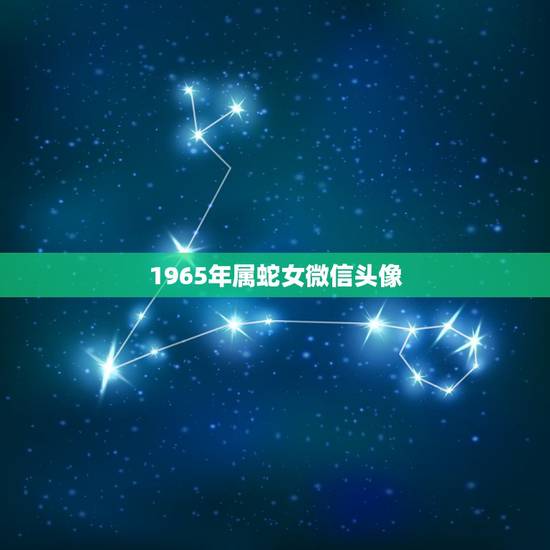 1965年属蛇女微信头像,属蛇男招财微信头像 1965年属蛇女微信头像,属蛇男招财微信头像