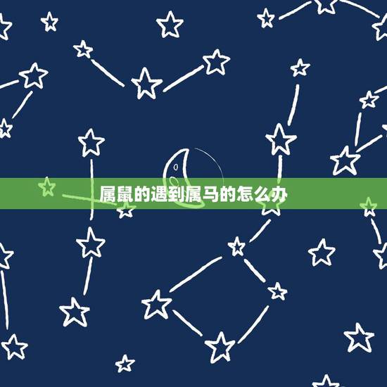 属鼠的遇到属马的怎么办,鼠和马相配婚姻如何 属鼠的遇到属马的怎么办,鼠和马相配婚姻如何