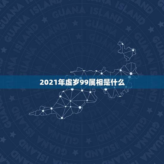 2021年虚岁99属相是什么，2019年是什么年什么属相