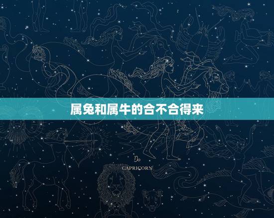 属兔和属牛的合不合得来,属兔和属牛的孩子合不合 属兔和属牛的合不合得来,属兔和属牛的孩子合不合