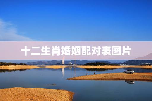 十二生肖婚姻配对表图片，十二生肖配对查询
