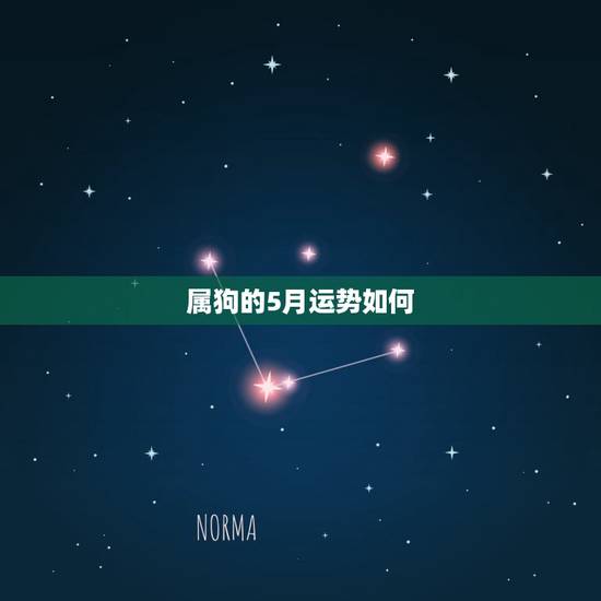 属狗的5月运势如何,82年属狗4月份运气 属狗的5月运势如何,82年属狗4月份运气