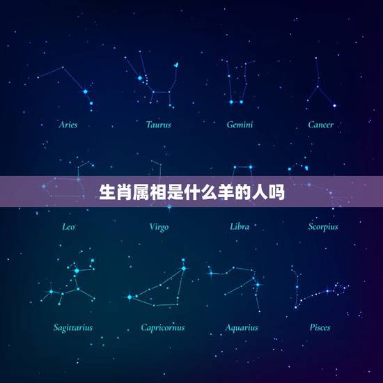 生肖属相是什么羊的人吗，属羊的人和什么属相的人最合