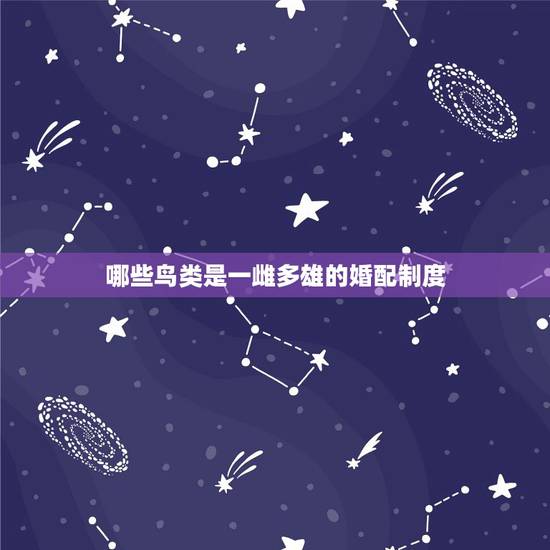 哪些鸟类是一雌多雄的婚配制度，一雄配多雌的动物