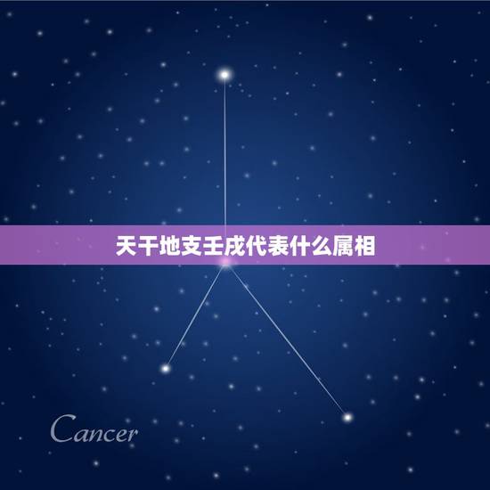 天干地支壬戌代表什么属相,壬戌狗年是什么意思? 天干地支壬戌代表什么属相,壬戌狗年是什么意思?
