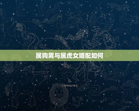 属狗男与属虎女婚配如何，男属狗和女属虎配吗 详细？