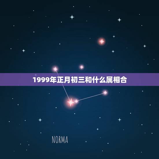 1999年正月初三和什么属相合，农历1999年正月初三午时出生男孩八字