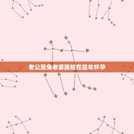 老公属兔老婆属蛇在鼠年怀孕，属龙和属兔的夫妻生个鼠宝宝