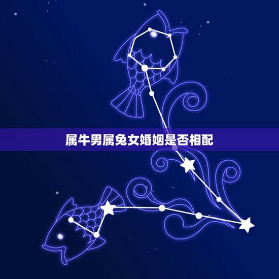 属牛男属兔女婚姻是否相配,属相婚配:男属兔和女属牛相配吗 属牛男属兔女婚姻是否相配,属相婚配:男属兔和女属牛相配吗