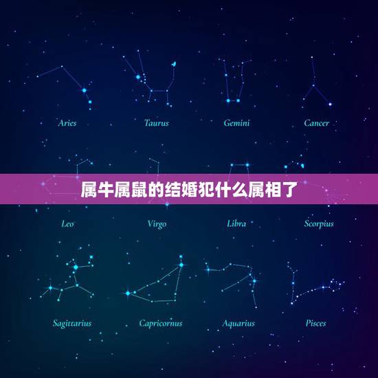 属牛属鼠的结婚犯什么属相了，属牛和属鼠的人结婚当天忌什么属相相冲