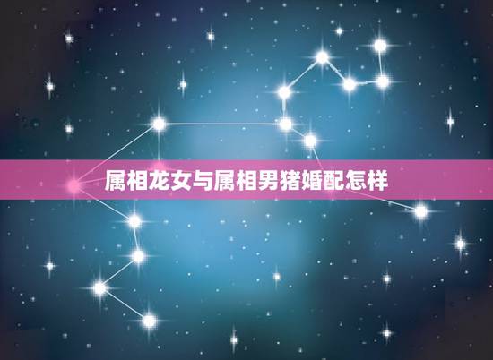 属相龙女与属相男猪婚配怎样,属相婚配:男属龙和女属猪相配吗 属相龙女与属相男猪婚配怎样,属相婚配:男属龙和女属猪相配吗