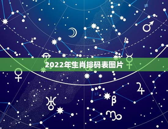 2022年生肖排码表图片，2022年十二生肖运势
