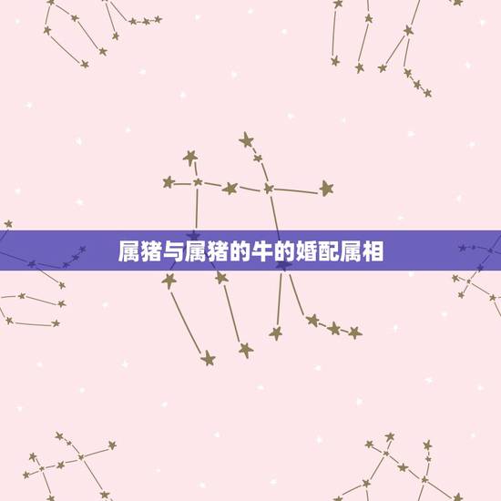 属猪与属猪的牛的婚配属相，属牛和属猪相配吗？