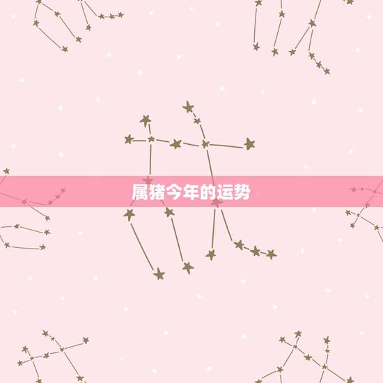属猪今年的运势,属猪人今日运势 属猪今年的运势,属猪人今日运势