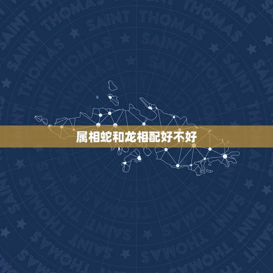 属相蛇和龙相配好不好，男龙配个什么属相相配最好