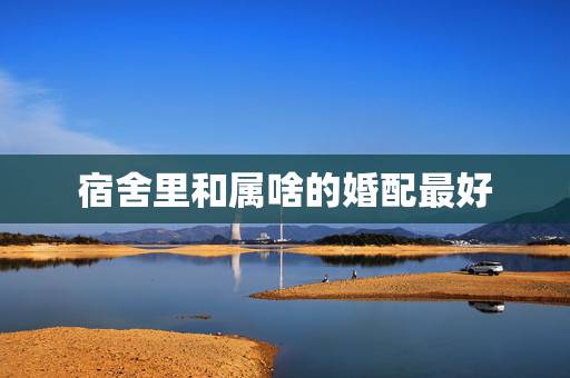 宿舍里和属啥的婚配最好,属猪的与哪些属相婚配最好 宿舍里和属啥的婚配最好,属猪的与哪些属相婚配最好