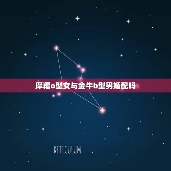 摩羯o型女与金牛b型男婚配吗，摩羯女和金牛男配吗