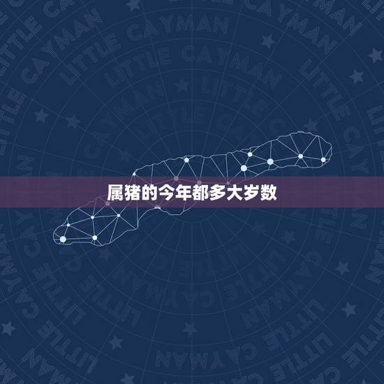 属猪的今年都多大岁数，十二生肖属猪的今年几岁