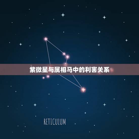 紫微星与属相马中的利害关系，属马的和什么属相相冲