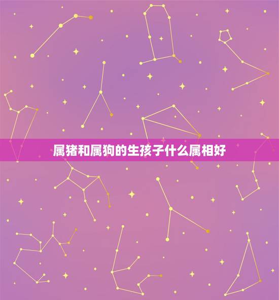 属猪和属狗的生孩子什么属相好，父亲属狗，母亲属猪，生个什么属相的孩子好