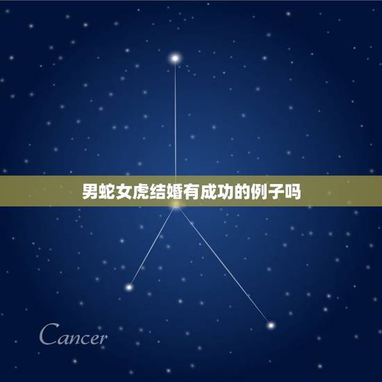 男蛇女虎结婚有成功的例子吗,男属蛇女属虎婚后如何 男蛇女虎结婚有成功的例子吗,男属蛇女属虎婚后如何