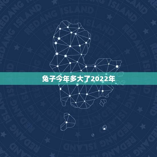 兔子今年多大了2022年，2022年属兔人的全年运势女