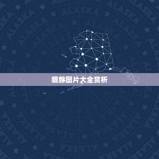 貔貅图片大全赏析，玉貔貅图片