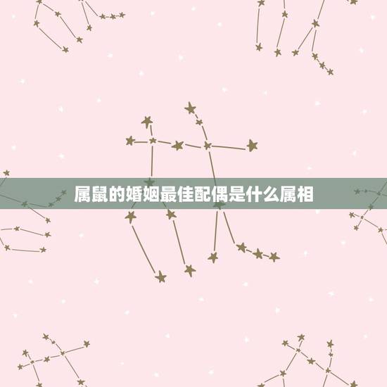 属鼠的婚姻最佳配偶是什么属相 属鼠2022年运势如何 属鼠的婚姻最佳配偶是什么属相 属鼠2022年运势如何