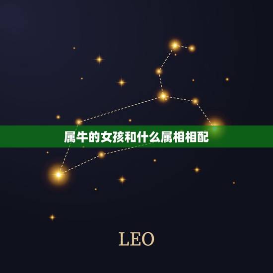 属牛的女孩和什么属相相配，女属牛的和什么属相最配