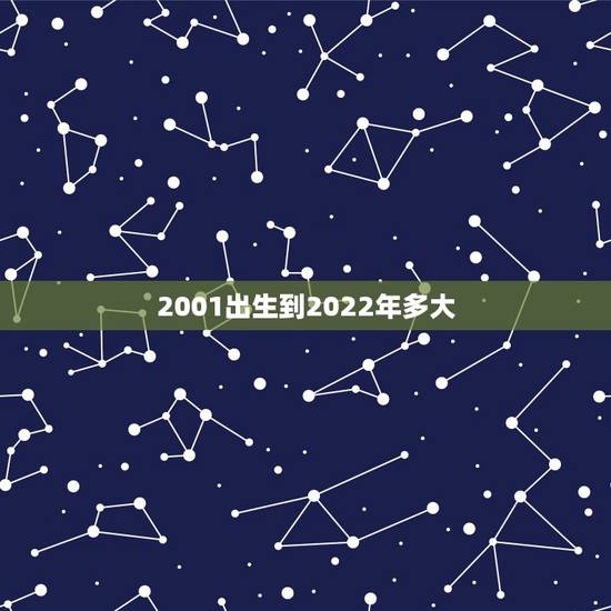 2001出生到2022年多大,1995属猪2022年运势 2001出生到2022年多大,1995属猪2022年运势