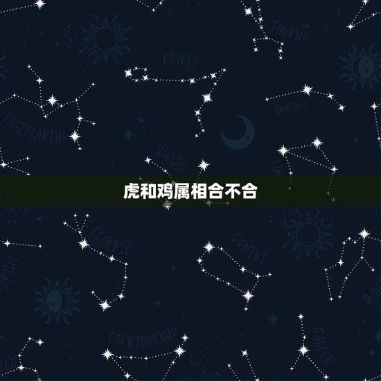 虎和鸡属相合不合，属鸡是属虎的贵人