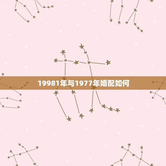 19981年与1977年婚配如何,1988年属龙的人与1977年属蛇女 19981年与1977年婚配如何,1988年属龙的人与1977年属蛇女