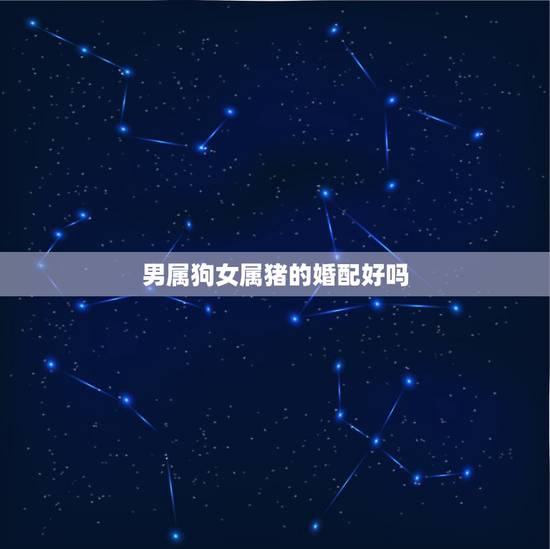 男属狗女属猪的婚配好吗,女属猪和男属狗配吗?能具体说说吗? 男属狗女属猪的婚配好吗,女属猪和男属狗配吗?能具体说说吗?