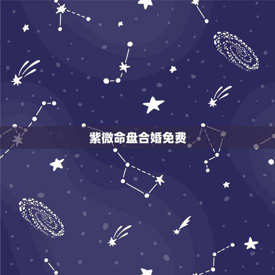 紫微命盘合婚免费,紫薇命盘免费解析,主要帮忙看下婚姻和事业 紫微命盘合婚免费,紫薇命盘免费解析,主要帮忙看下婚姻和事业