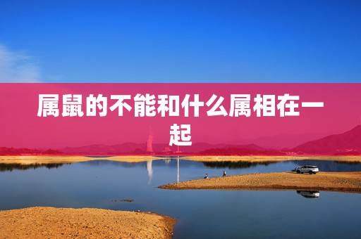 属鼠的不能和什么属相在一起，属鼠的和属兔的人，真的不能在一起吗？