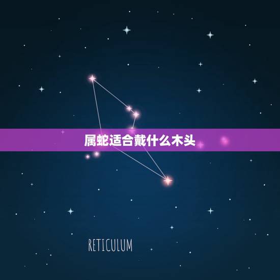 属蛇适合戴什么木头，2022 年蛇年戴什么生肖好