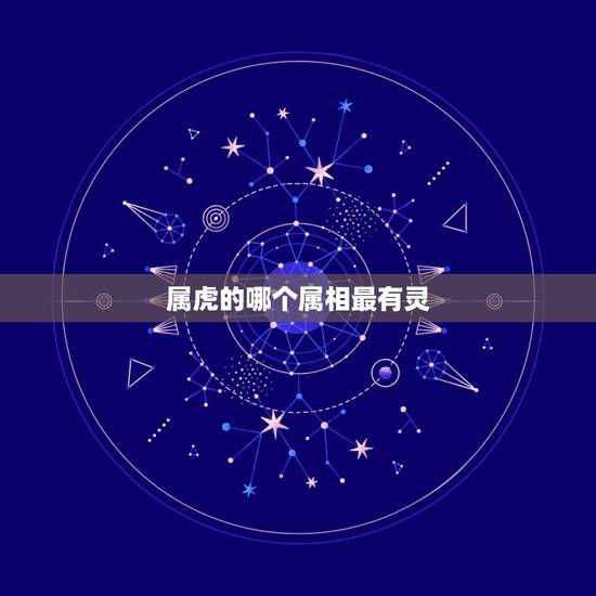 属虎的哪个属相最有灵，属虎的和什么属相最配