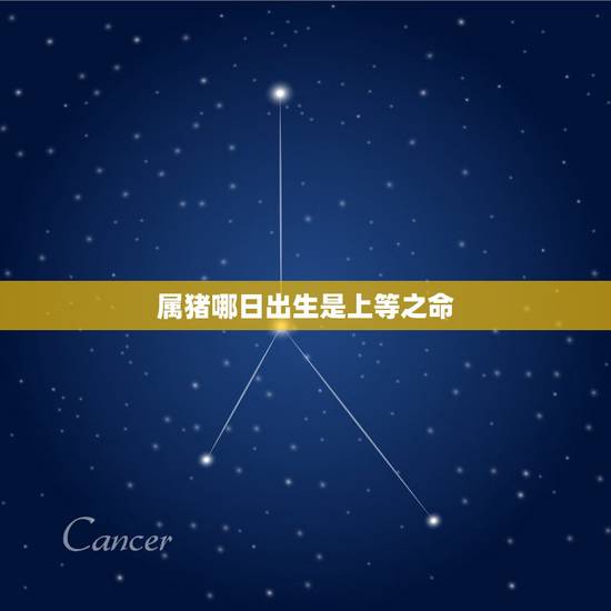 属猪哪日出生是上等之命，属猪忌讳几月出生