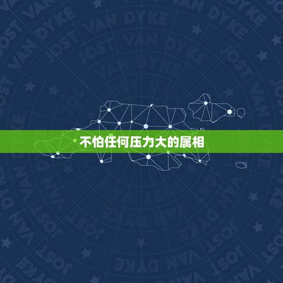 不怕任何压力大的属相,哪一个生肖的人是最不服输、最抗压力的? 不怕任何压力大的属相,哪一个生肖的人是最不服输、最抗压力的?