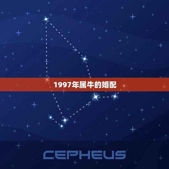 1997年属牛的婚配,97年属牛的属相婚配表 1997年属牛的婚配,97年属牛的属相婚配表