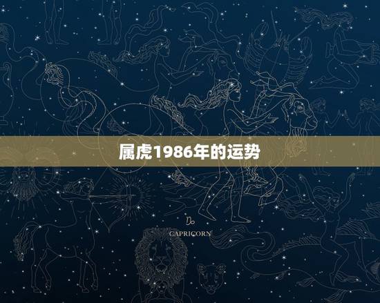 属虎1986年的运势，1986年属虎2023年运势及运程